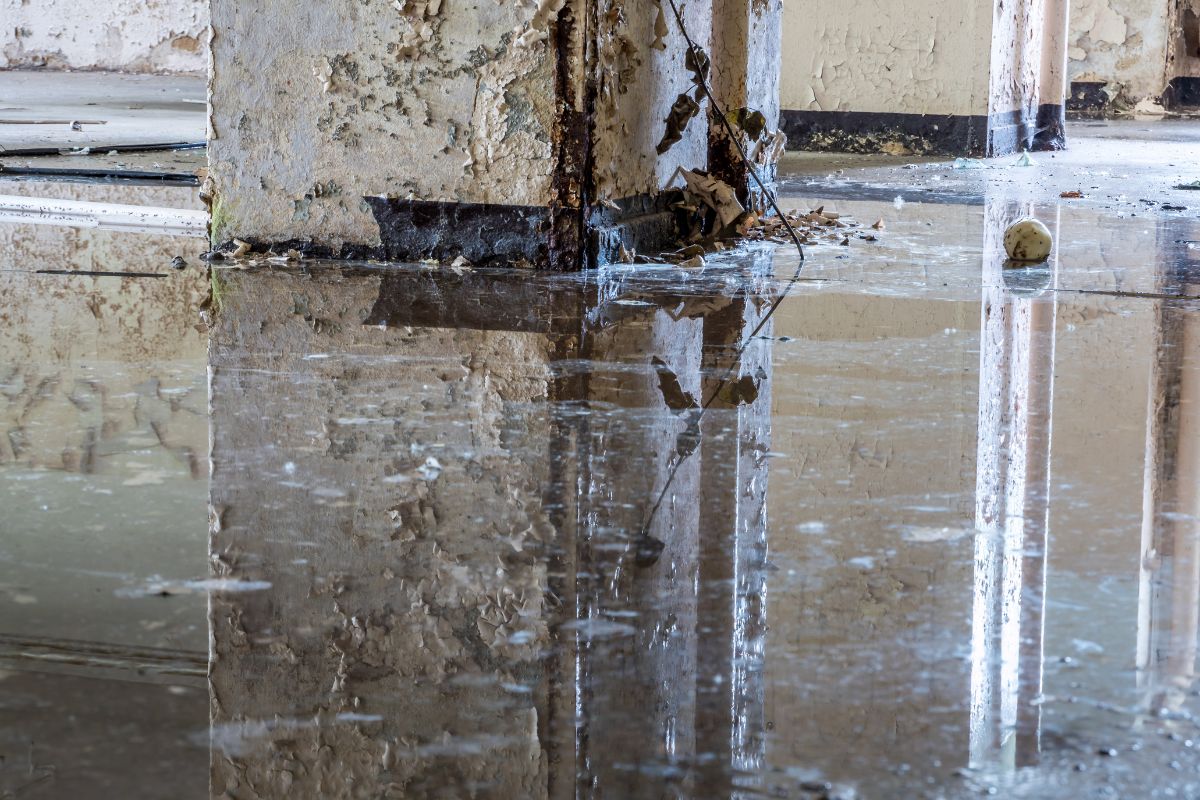 Wasserschadensanierung und Trocknung